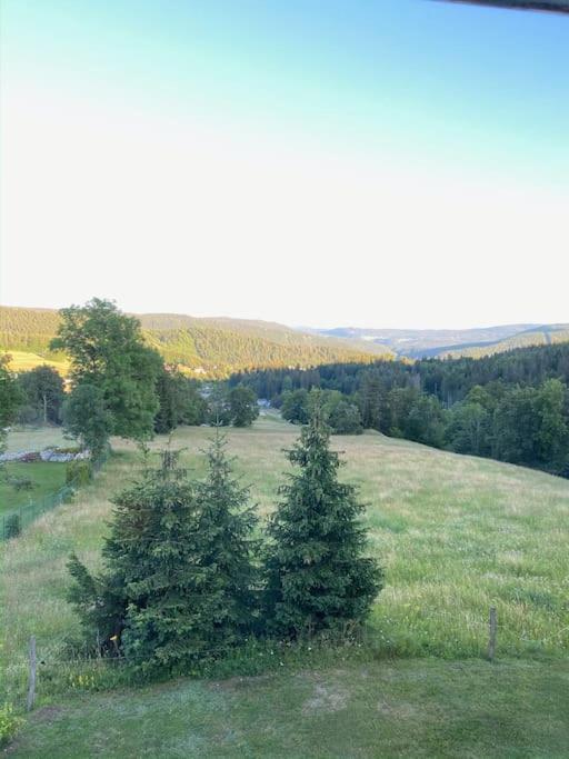 Appartement Lumineux Avec Vue Sur Les Montagnes Morbier Exterior foto
