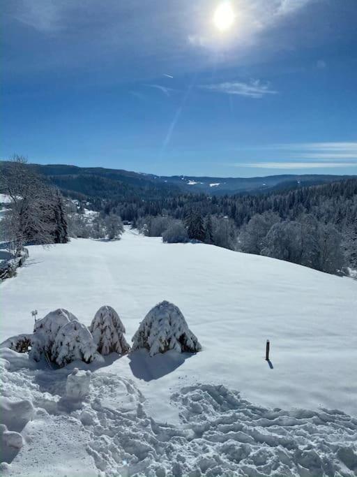 Appartement Lumineux Avec Vue Sur Les Montagnes Morbier Exterior foto
